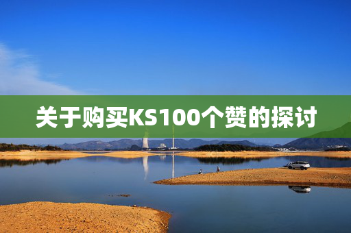 关于购买KS100个赞的探讨