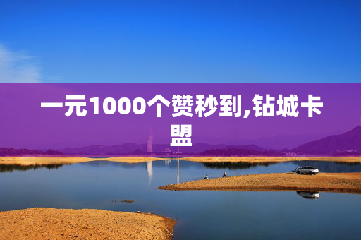 一元1000个赞秒到,钻城卡盟