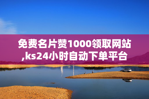 免费名片赞1000领取网站,ks24小时自动下单平台