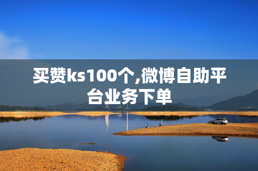 买赞ks100个,微博自助平台业务下单