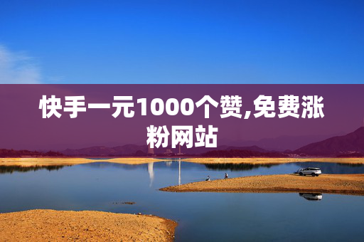 快手一元1000个赞,免费涨粉网站