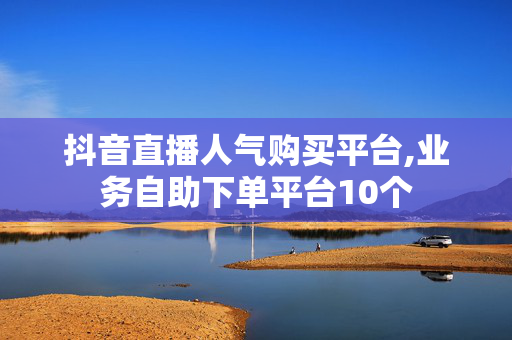 抖音直播人气购买平台,业务自助下单平台10个