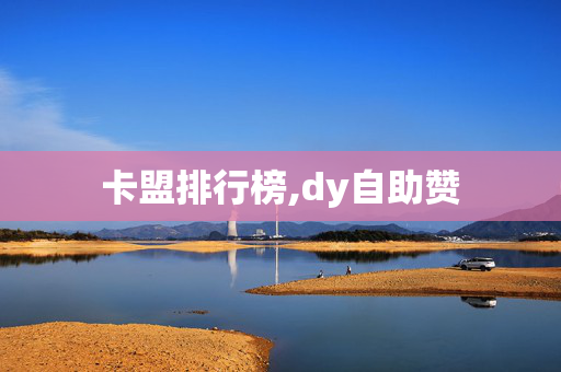 卡盟排行榜,dy自助赞