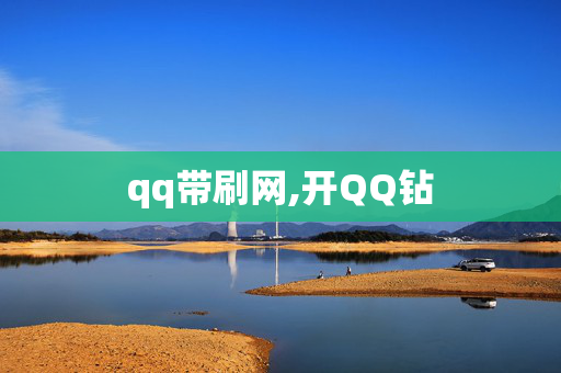 qq带刷网,开QQ钻