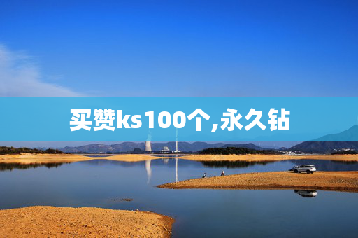 买赞ks100个,永久钻