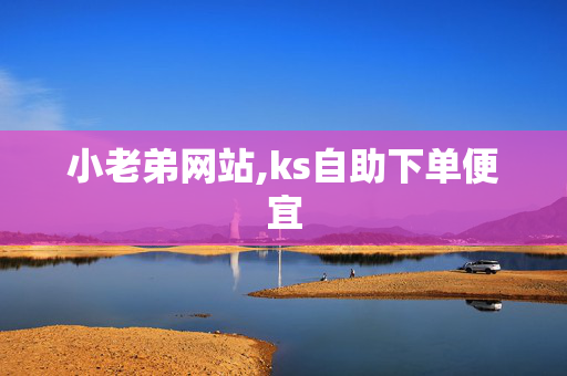 小老弟网站,ks自助下单便宜