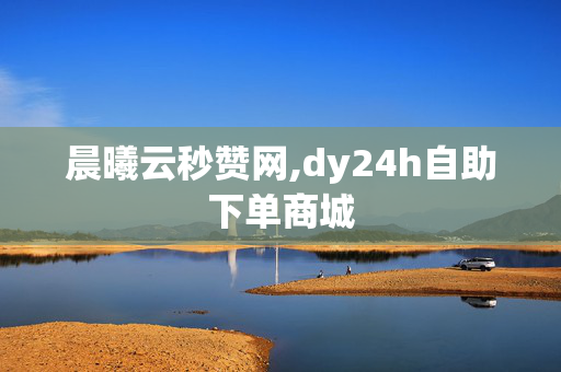 晨曦云秒赞网,dy24h自助下单商城