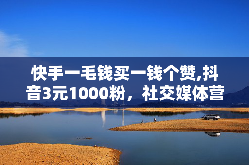 快手一毛钱买一钱个赞,抖音3元1000粉，社交媒体营销，快手抖音双平台低价获取关注和点赞