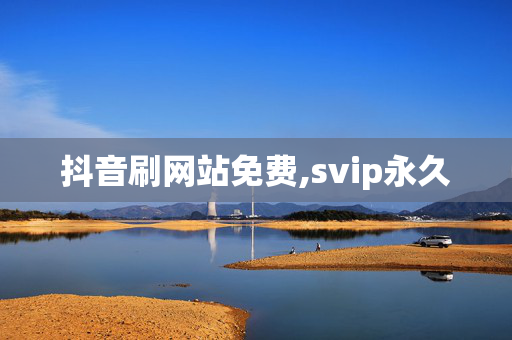 抖音刷网站免费,svip永久