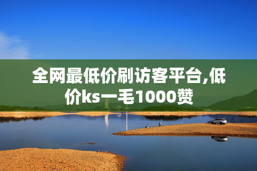 全网最低价刷访客平台,低价ks一毛1000赞