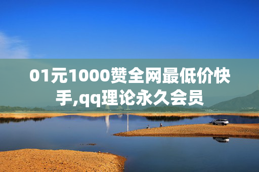 01元1000赞全网最低价快手,qq理论永久会员