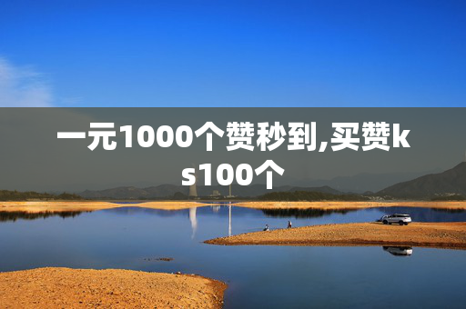 一元1000个赞秒到,买赞ks100个