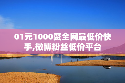 01元1000赞全网最低价快手,微博粉丝低价平台