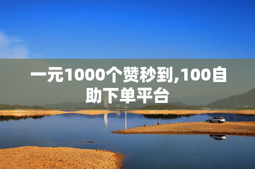 一元1000个赞秒到,100自助下单平台