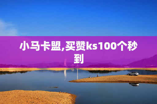 小马卡盟,买赞ks100个秒到