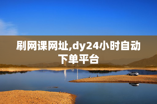 刷网课网址,dy24小时自动下单平台