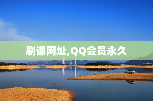 刷课网址,QQ会员永久