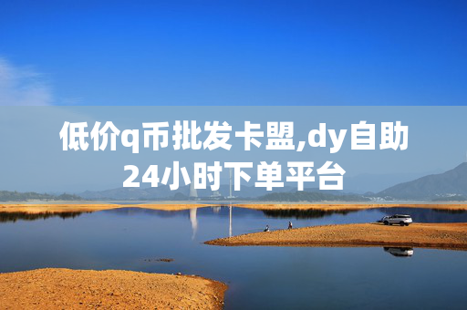 低价q币批发卡盟,dy自助24小时下单平台