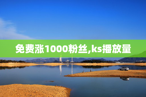 免费涨1000粉丝,ks播放量