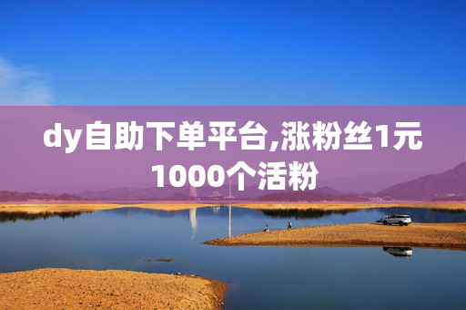 dy自助下单平台,涨粉丝1元1000个活粉