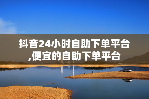 抖音24小时自助下单平台,便宜的自助下单平台