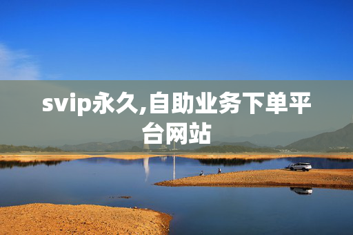 svip永久,自助业务下单平台网站