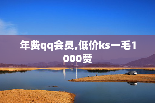 年费qq会员,低价ks一毛1000赞