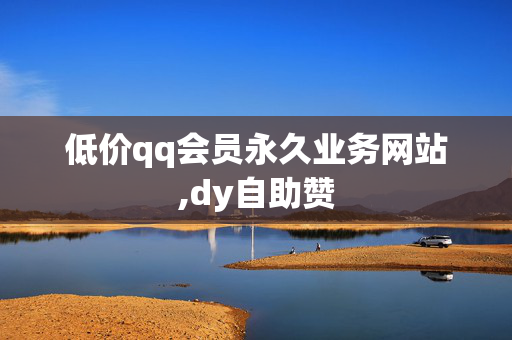 低价qq会员永久业务网站,dy自助赞