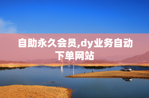 自助永久会员,dy业务自动下单网站