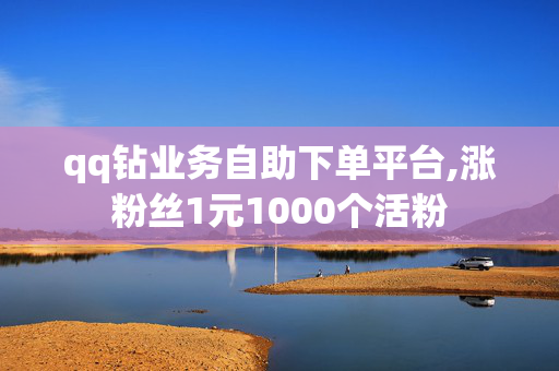 qq钻业务自助下单平台,涨粉丝1元1000个活粉