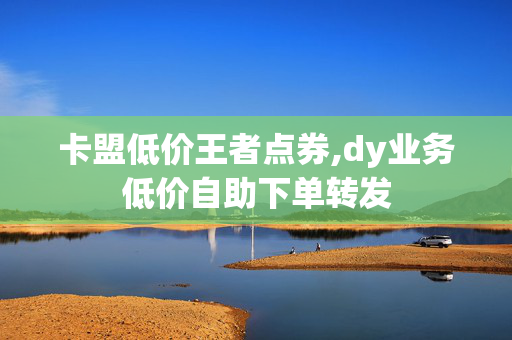 卡盟低价王者点券,dy业务低价自助下单转发