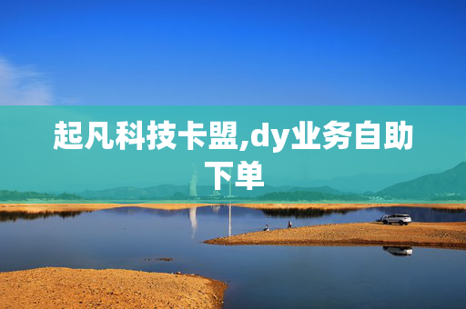 起凡科技卡盟,dy业务自助下单