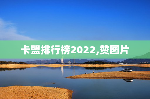 卡盟排行榜2022,赞图片