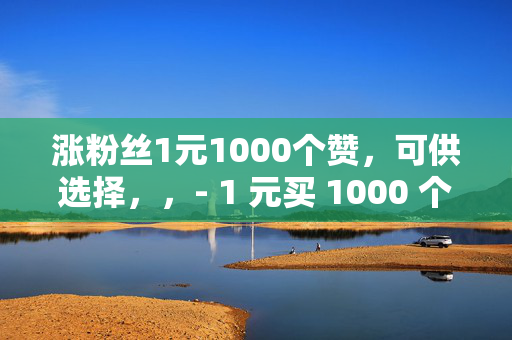 涨粉丝1元1000个赞，可供选择，，- 1 元买 1000 个赞，涨粉丝不是梦，直接体现了关键信息，强调了用 1 元可以获得 1000 个赞，能够吸引人们的关注。