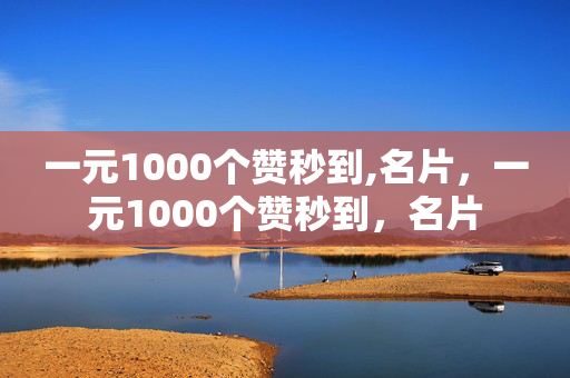 一元1000个赞秒到,名片，一元1000个赞秒到，名片