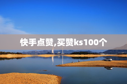 快手点赞,买赞ks100个