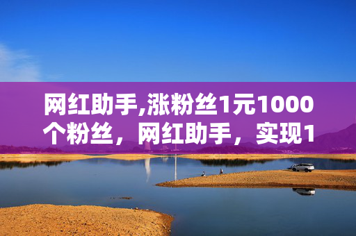 网红助手,涨粉丝1元1000个粉丝，网红助手，实现1元1000个粉丝的快速增长