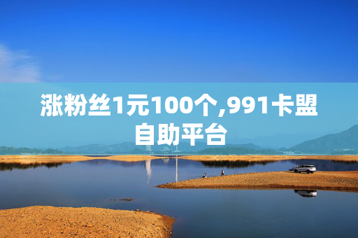 涨粉丝1元100个,991卡盟自助平台